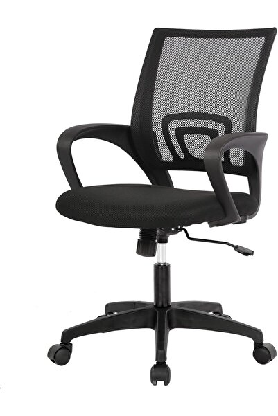 Chulovs Home Office Chair Desk Computer Chair Adjustable Ergonomic Lumbar Sup...