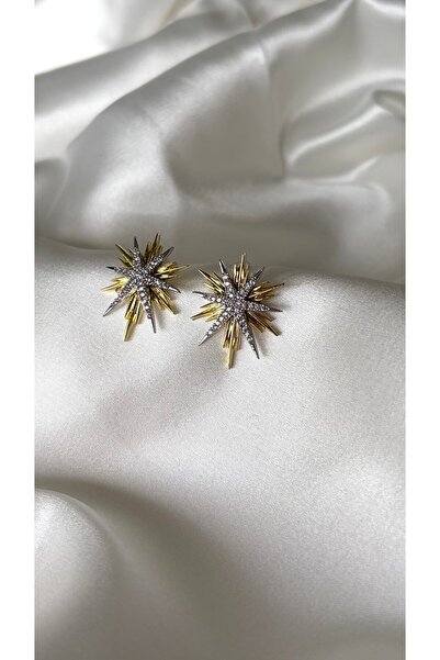 Eylülün Takısı Women's Gold and Silver Detailed Stone North Star Earrings