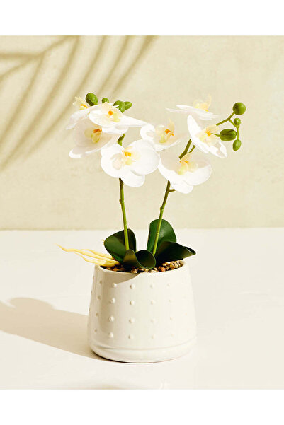 REDTAG White Artificial Orchid in Ceramic Planter