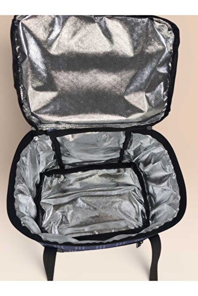 LIGHTINGHM 25 Liter Thermal Picnic Bag Aluminum Foil Thermal Insulated Cold and Hot Holder Carry Bag
