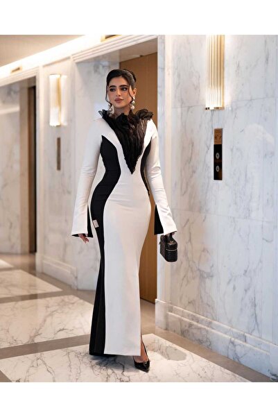 REVE Fashionable Black and White Dress with Ruffled Collar and Elegant and At...