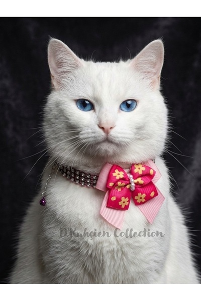 D'Kuhçien Cat Collar, Pink Ribbon Detail, Cat Necklace, Dog Necklace, Cat Cha...