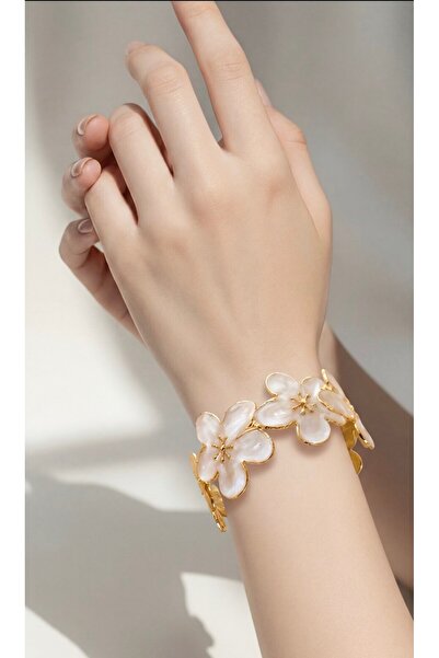 Enanice Stylish Knowledge