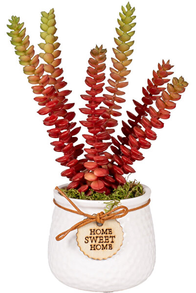 Herdekora Succulent Arrangement in Ceramic White Flowerpot Red 14X22 Cm.