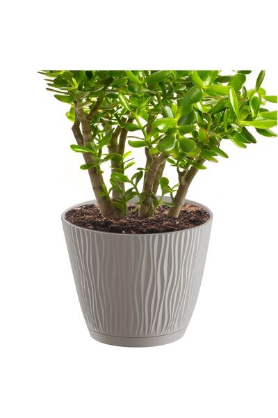 EDANTI Ghiveci rotund cu farfurie Sandy P, 23,9 cm - Mocca