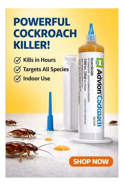 Generic Cockroach Gel 30g | 1 Plunger + Tip | Flying Insects Killer Bug Zapper Insect Killer Outdoor