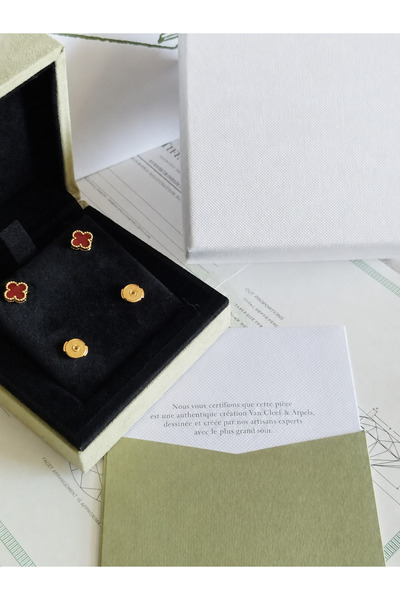 Glamour Galore Luxury Earring with Accessories