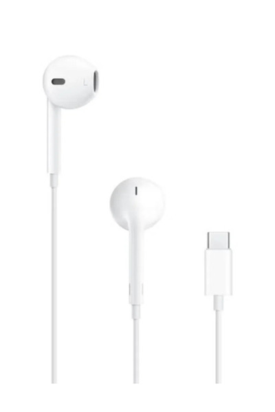 Denx Wired Earphone with Type C Port