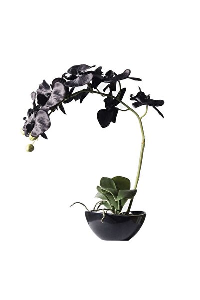 SUPERGREENS Τεχνητό Φυτό Ορχιδέα Me Kaspo 1170-6 24x15x48εκ. Μαύρο