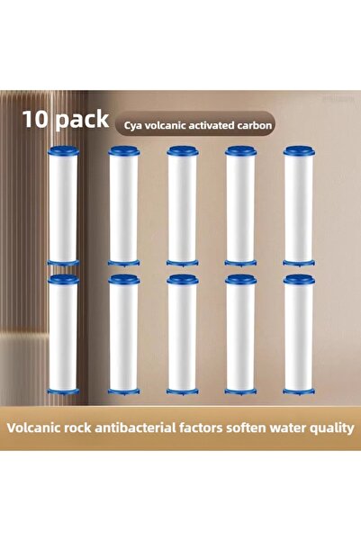 Choice 10-Piece Handheld Shower Filter Set, Hard Water Replacement Filters, R...