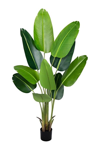 Cozy Haven Artificial Bird of Paradise Plant, 5.9 feet, Realistic Replica, Su...