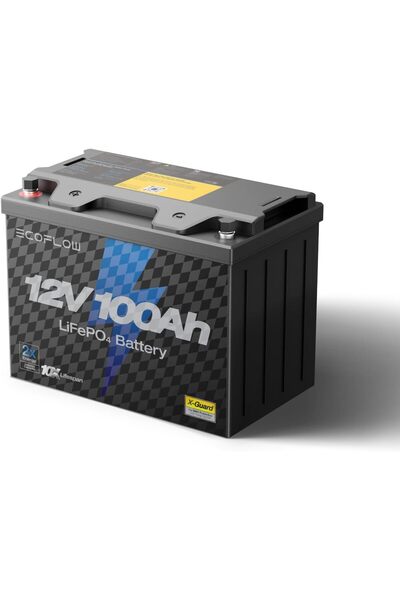 EF ECOFLOW 12V 100Ah LiFePO4 Battery, Built In 100A BMS Group 27 Lithium Batt...