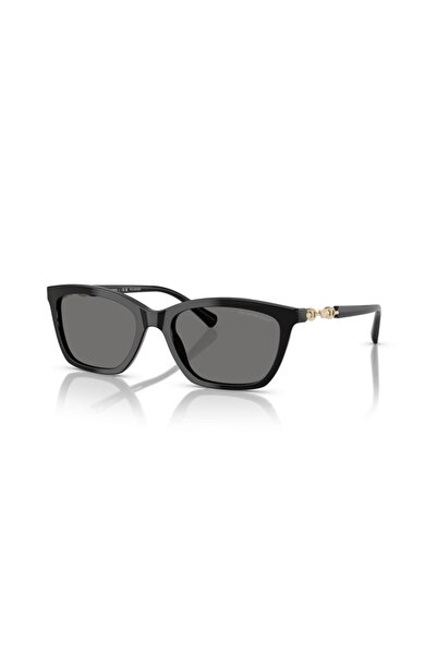 Emporio Armani EA4238 Güneş Gözlüğü 501781
