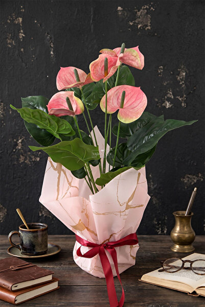 Yapay Çiçek Deposu Yapay Coralia Özel Gün Antoryum Bitkisi Tanzimi 55 cm Pembe