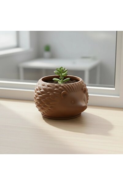 OEM Mini Ghiveci Decorativ Arici Imprimat 3D, Suport Plante Mici