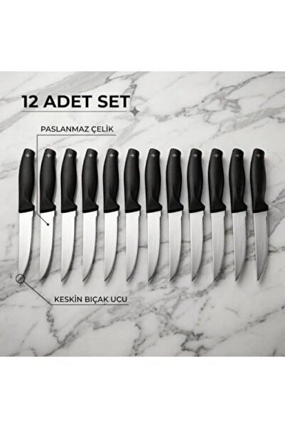 Yıldızan Msa Shop Stainless Steel Fruit Knife Set, Black Handle, 12 Pieces 93...