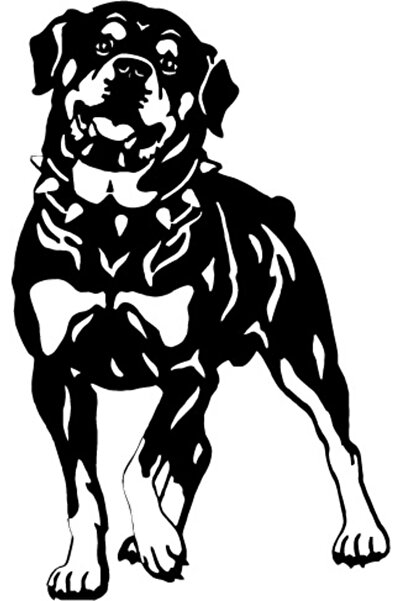 Amo-Stickers Sticker Auto Rottweiler 25cm Alb