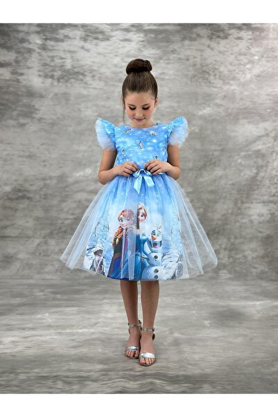 pistyle Girl's Blue Elsa and Anna Character Printed Blue Tulle Birthday Dress...