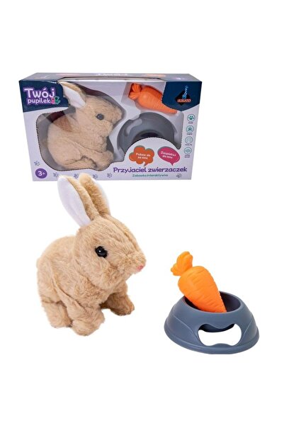 Askato Jucarie interactiva Iepuras, Askato, Plastic, Cu accesorii, 2xAA, Mult...