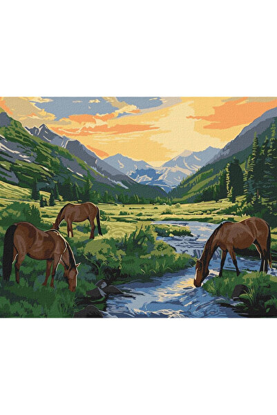 ideyka Set pictura pe numere Przedswit, kit panza 40×50 cm, multicolor