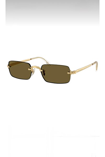 LOOKUP Sunglasses Uv 400 Protection Brown Unisex Men Women New Season with Ca...
