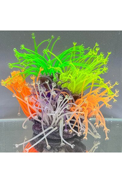 Ocean Free Recif corali cu anemone decor acvariu