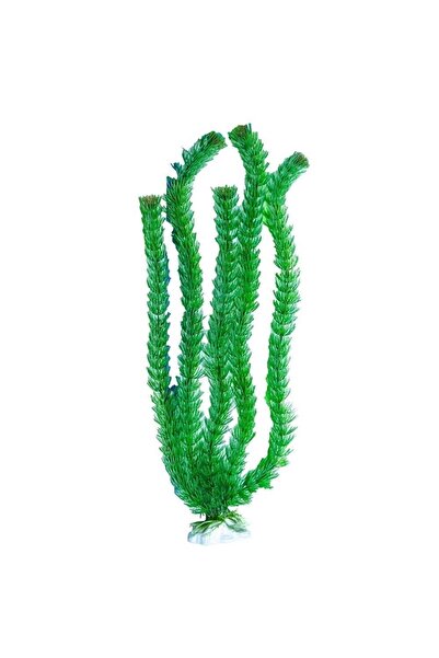 Ocean Free Planta artificiala acvariu CABOMBA 20 inci ( 50 cm )