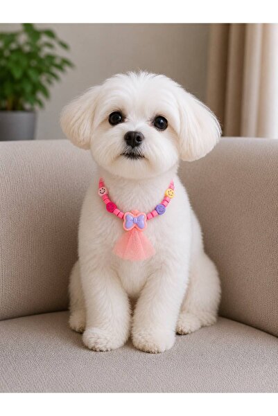 Pawellia.co Stylish Design Cat Collar Cat Necklace Small Breed Dog Collar Dog...