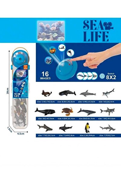 OEM Set Proiector Educativ Viata Marina pentru Copii cu 12 Figurine si Marire 8x