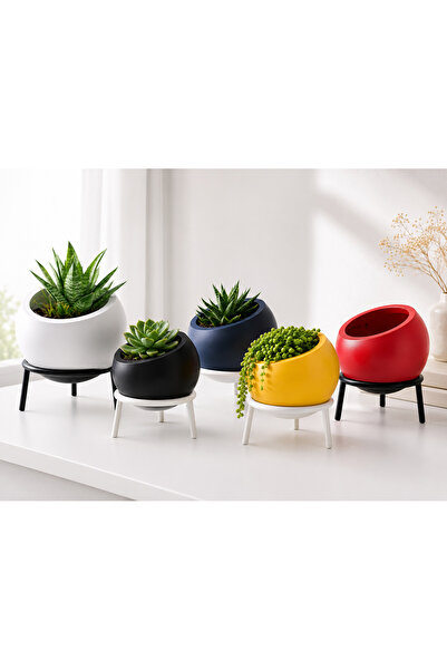 MYE TEKNOLOJİ Ayaklı Dekoratif Mini Saksı – Yuvarlak Modern Sukulent ve Kaktü...