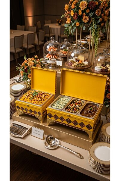 Generic Luxury Thermal Hospitality Buffet Warmers for Hot Food Preservation a...