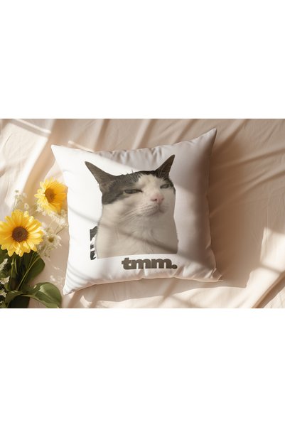 Beramussa Funny Cat Pillow with Text, Humorous Gift