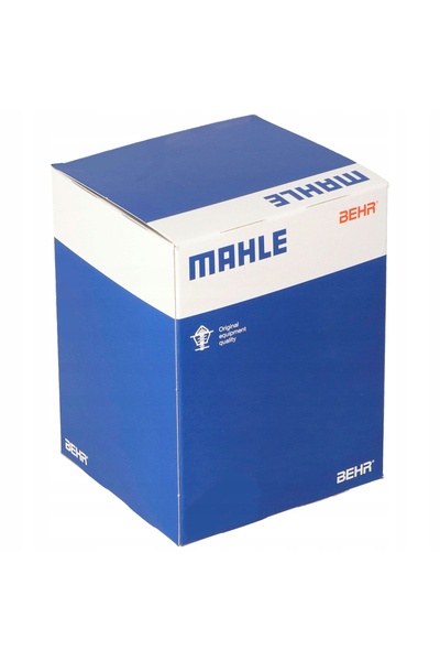MAHLE Piston 033 20 00