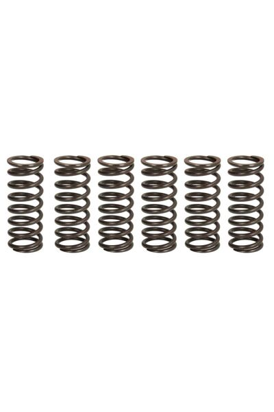 TRW Set Arcuri Ambreiaj Aprilia Rsv Tuono 1000 2009-2021 APRILIA RSV/Tuono