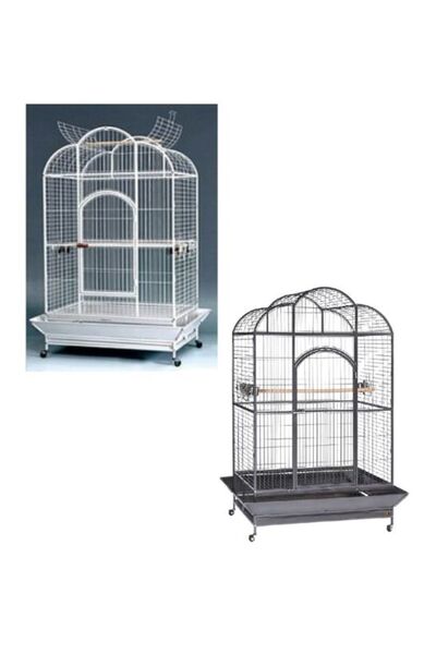 Tropical Bird Macaw Kingdom Bird Cage