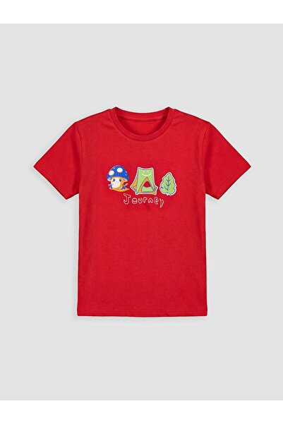 LC Waikiki Crew Neck Printed Boy's T-Shirt