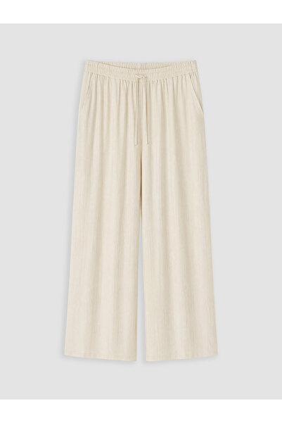 LC Waikiki Beige Plus Size Women's Pants with Elastic Waist