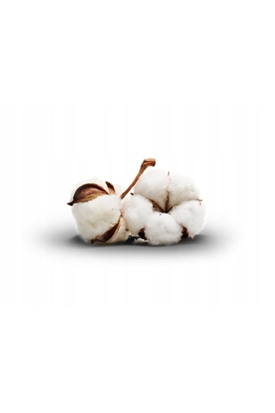 NO BRAND Pilotă Antialergică 100% Bumbac 180X200 Ecotton