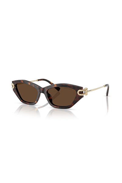 Tiffany Tf 4231U 80153g 53 Sunglasses