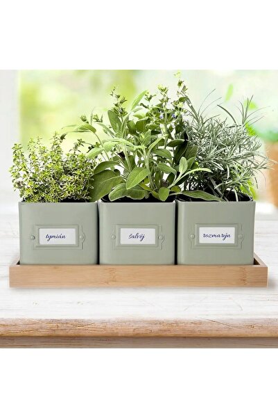 Orion 3x Huse pentru plante HERBSPICE, pentru ghivece triple, din metal verde