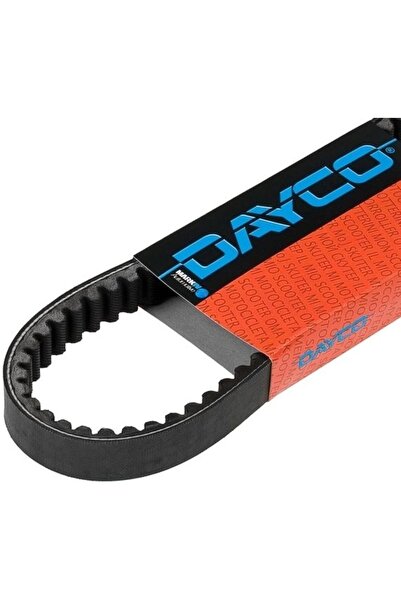 DAYCO Curea cu clichet