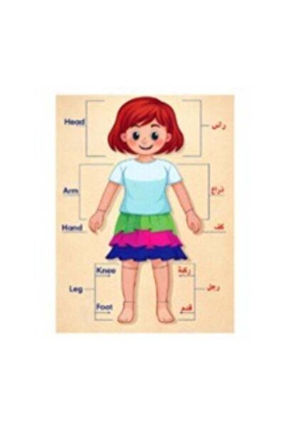 Thoth for Publishing and Distribution Wooden Human Body Puzzle for Kids - Bod...