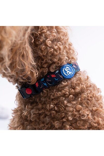 Pawstar Dino Dinozor Desenli Köpek Boyun Tasması Ayarlanabilir Köpek Tasması