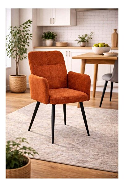 N.zone Modern Chair Upholstered in Luxurious Fabric with Side Arms and Black ...