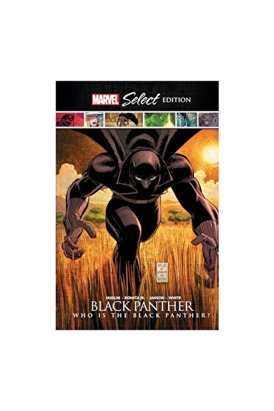 Generic (Unbranded) Black Panther
