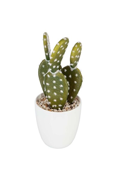 Atmosphera Plantă suculentă și cactus - H.18 cm