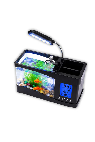 MultiZone Dijital Masaüstü Akvaryum Sıcaklık Göstergeli Dekoratif Mini Nano B...
