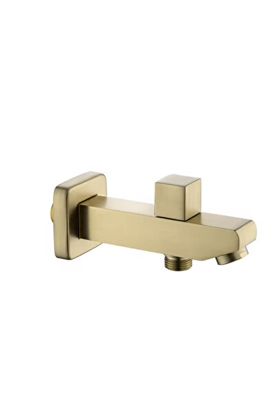 Generic China Gold Hidden Two Line Shower Head