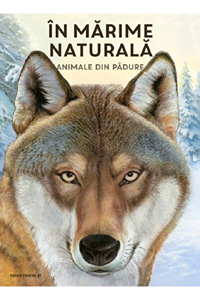 Paralela 45 In marime naturala. Animale din padure - Holger Haag