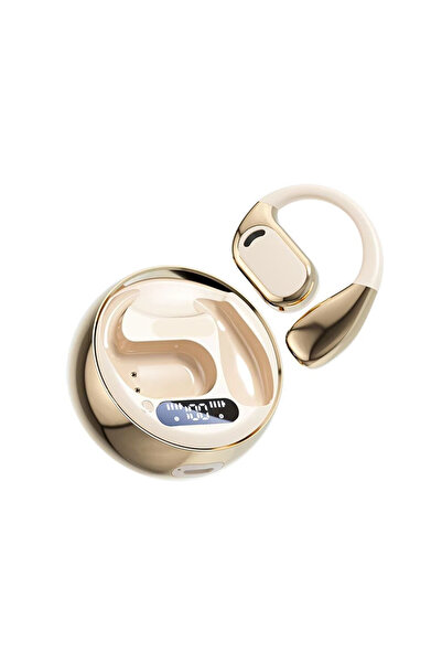 STARSTAR 5.4 Professional learning translation headphones, B